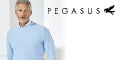 Pegasus Menswear voucher code